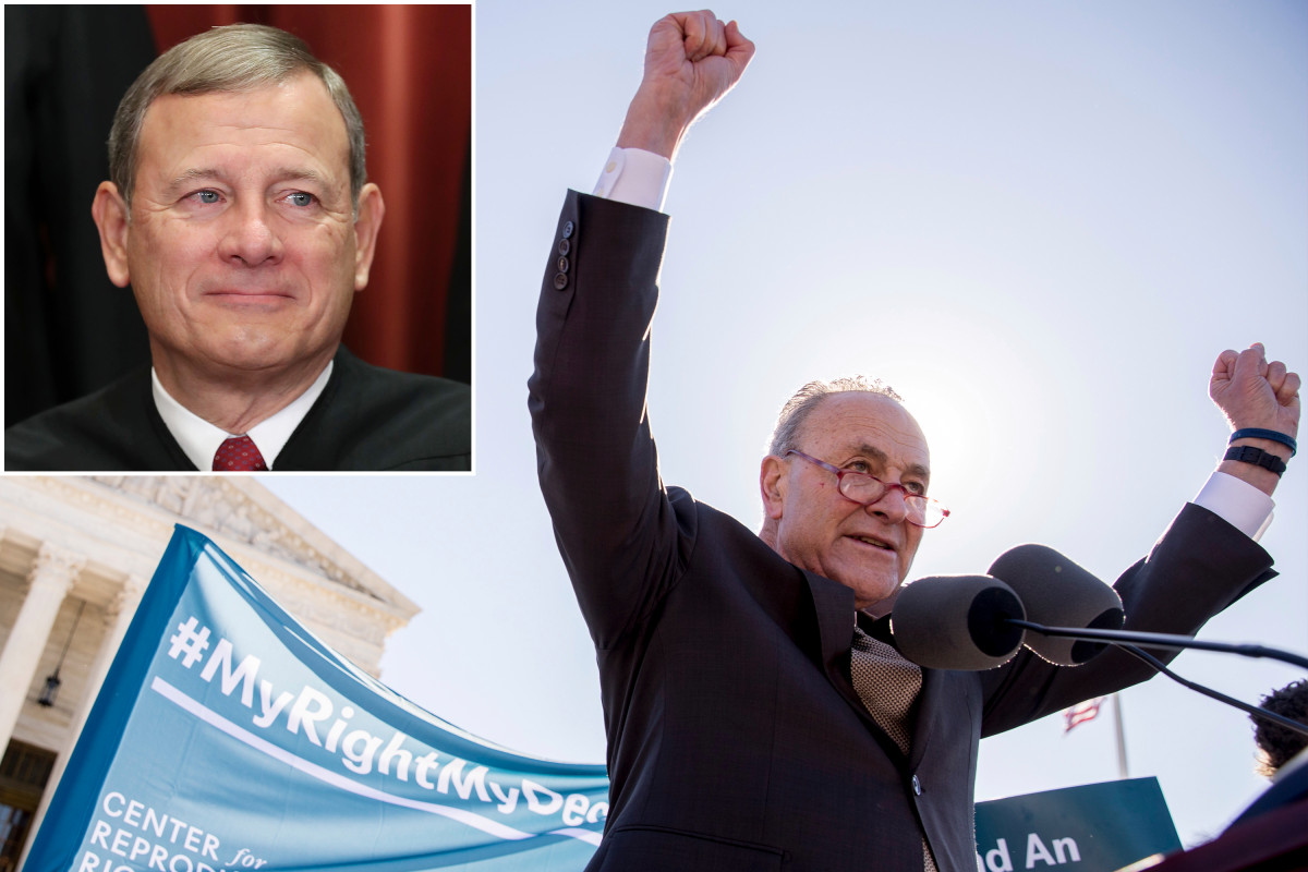 Chuck Schumer Senator