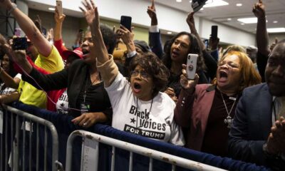 Joe Biden racial jungle