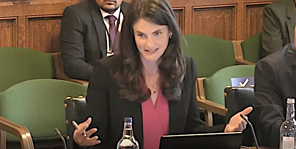 Nina Jankowicz Resigns From Biden’s Disinformation Governance Board