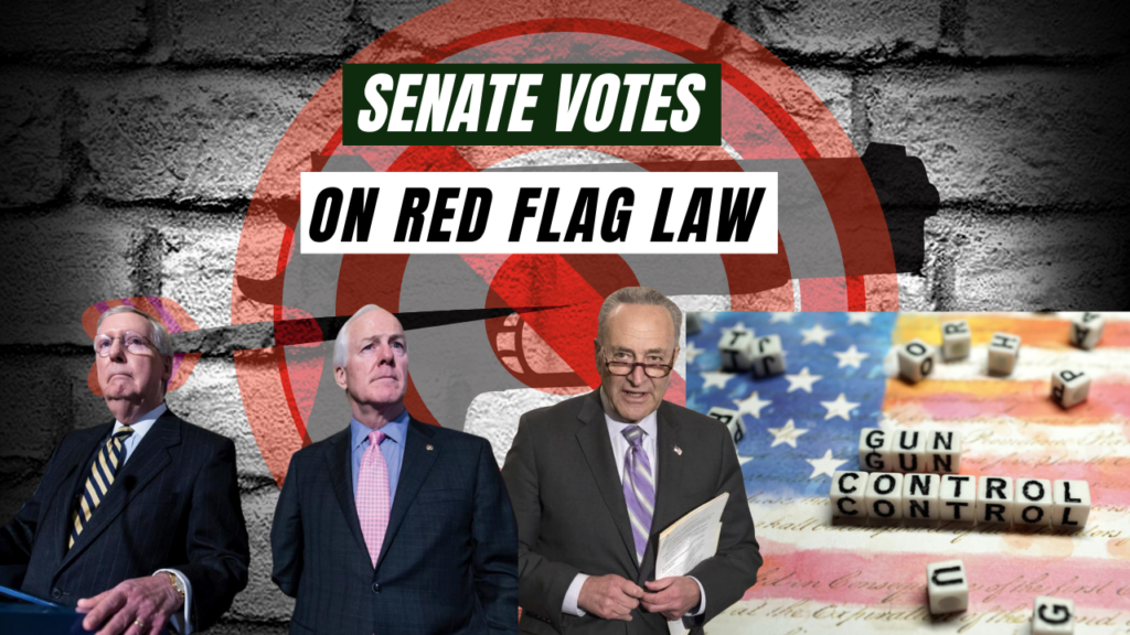 Senate Votes on Red Flag Law
