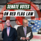 Senate Votes on Red Flag Law