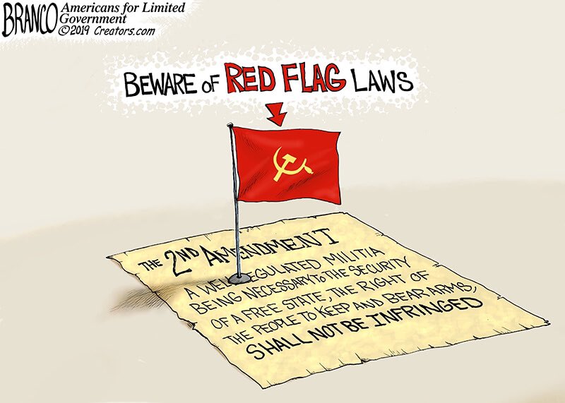 Senate Votes on Red Flag Law